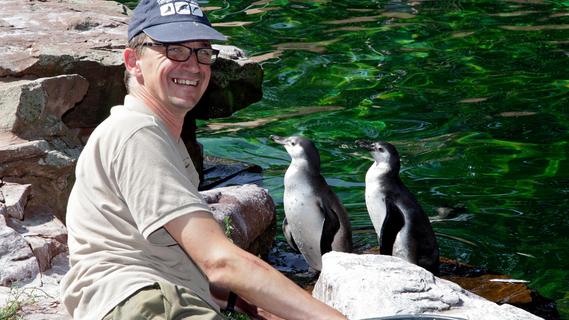 Jeder Pinguin ist anders: Ein Tierpfleger aus dem Tiergarten Nürnberg berichtet
