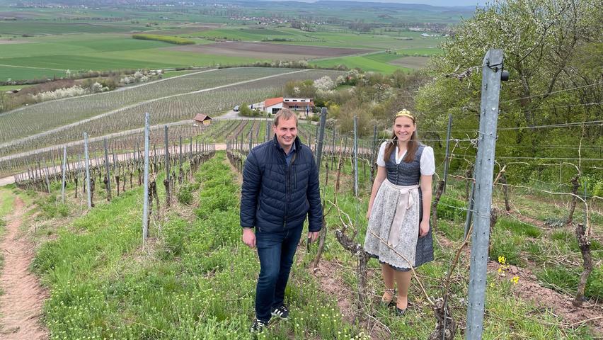 Einziger Terroir-F-Punkt in Mittelfranken: So sieht Ipsheims magischer Ort des Frankenweins aus