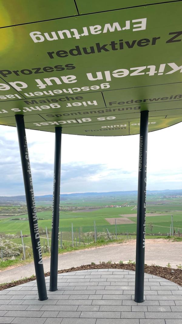 Region-Bayern-Weinberge