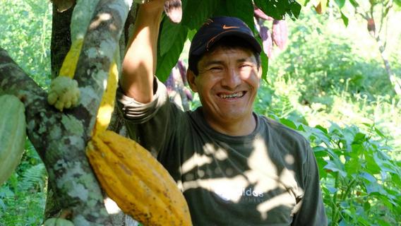 Wie steht es um Ökologie und Fairness beim Kakao?