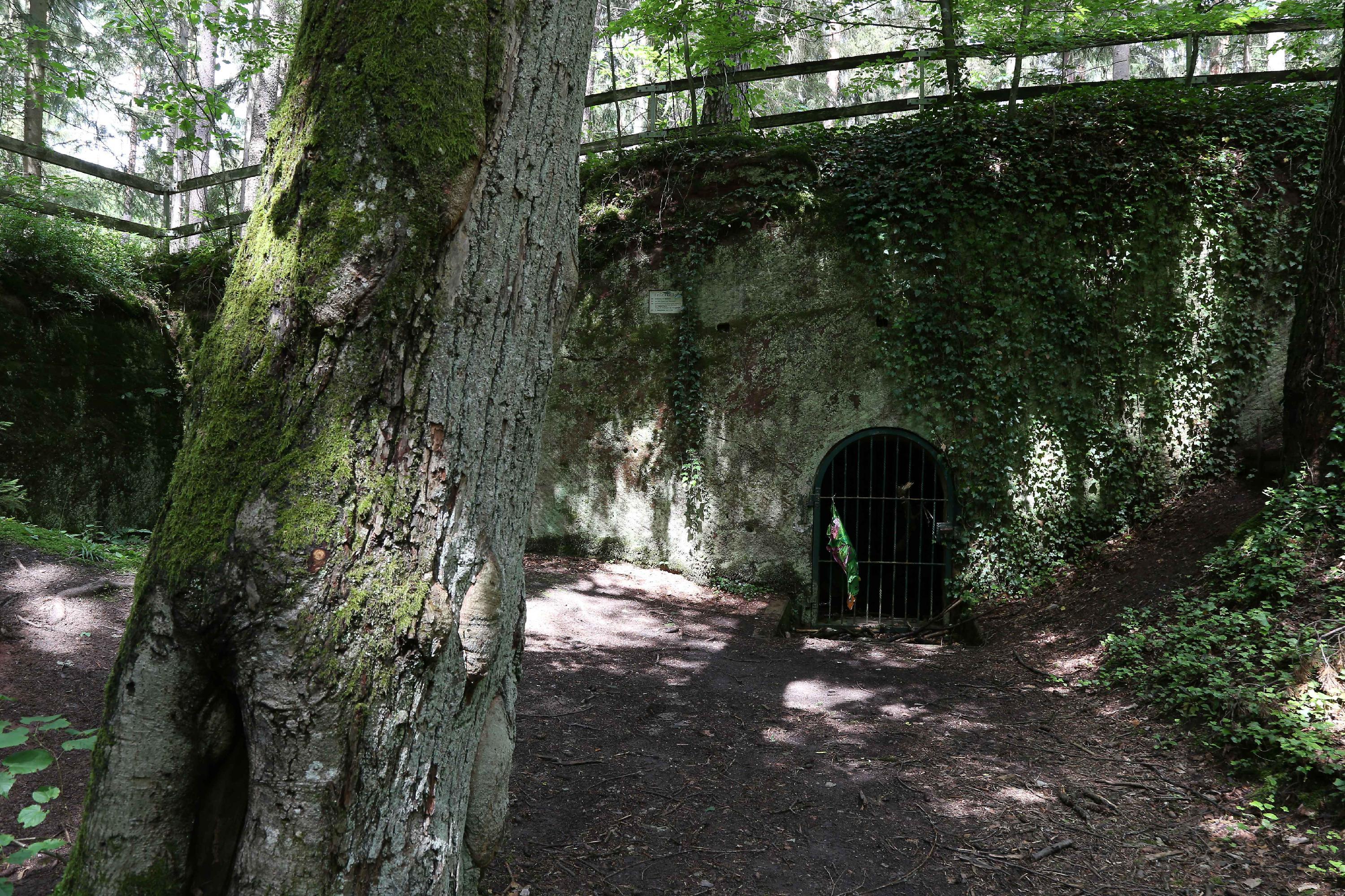 Lokales-Wanderung-Fischbach
