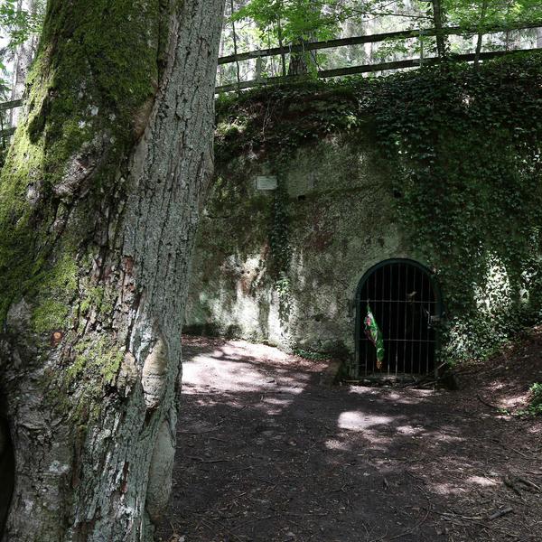 Lokales-Wanderung-Fischbach