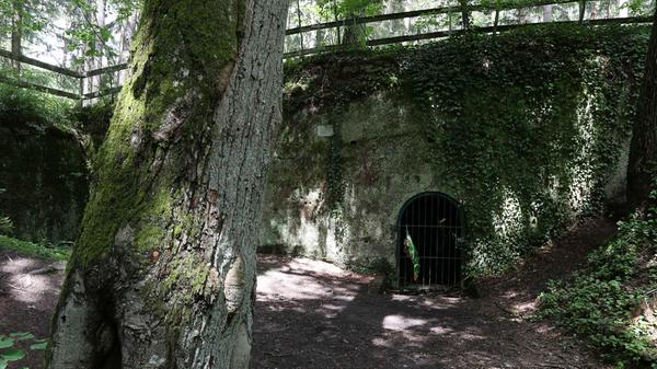 Lokales-Wanderung-Fischbach