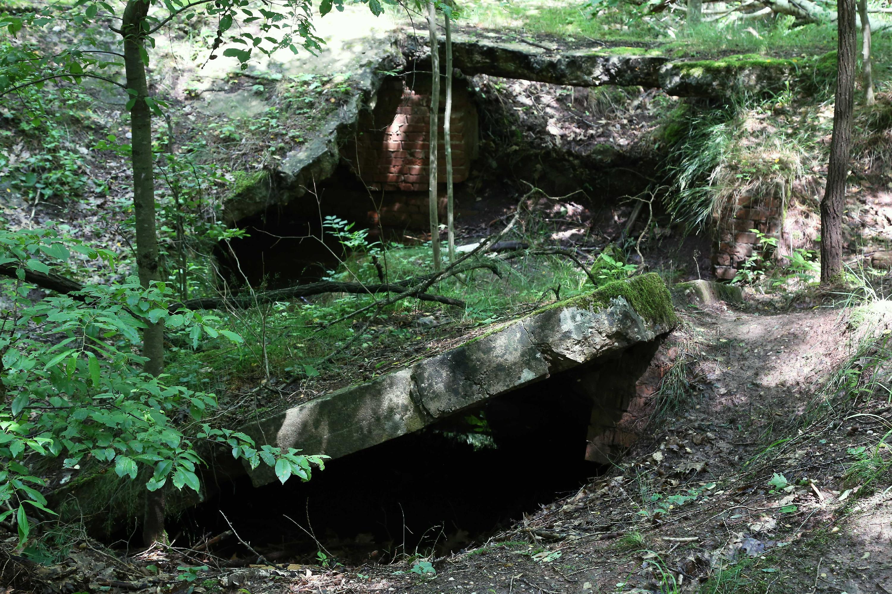 Lokales-Wanderung-Fischbach