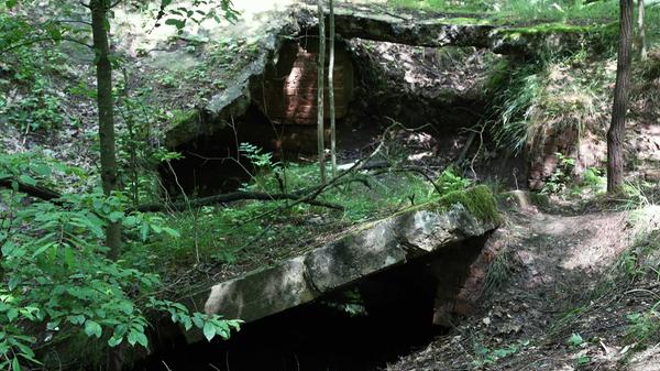 Lokales-Wanderung-Fischbach