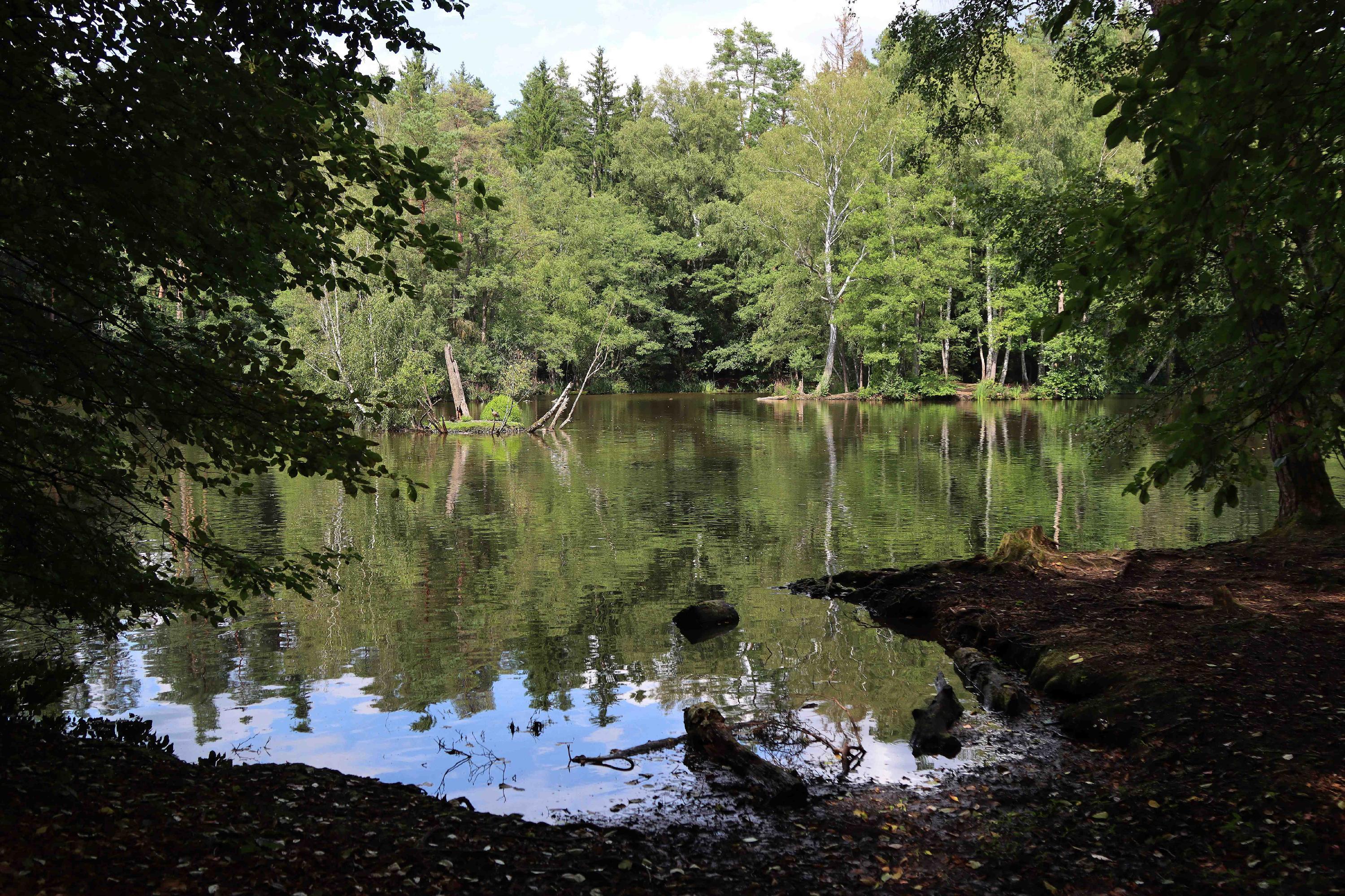 Lokales-Wanderung-Fischbach