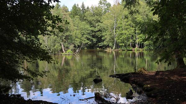 Lokales-Wanderung-Fischbach