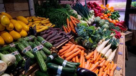 Aldi, Lidl, Rewe und Co.: Was ist der Unterschied zwischen Discounter und Supermarkt?