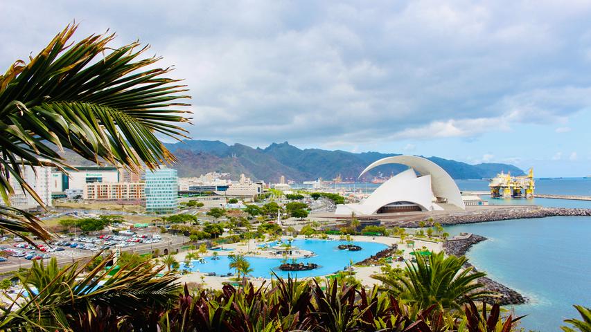 Vom Palmetum aus lässt sich auch ein sagenhafter Blick auf das Auditorio de Tenerife erhaschen, das vom Architekten Santiago Calatrava entworfen wurde. 