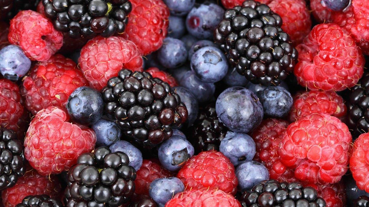 Zu den entzündungshemmenden Lebensmittel gehören auch Brombeeren und Blaubeeren.
Zu den entzündungshemmenden Lebensmittel gehören auch Brombeeren und Blaubeeren.