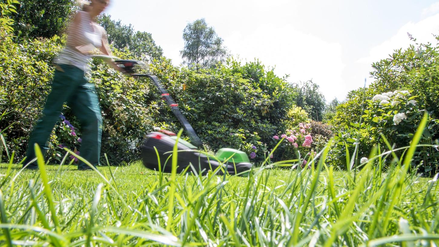 Pause! Gartenexperten rufen dazu auf, für einen Monat - den Mai - nicht den Rasen zu mähen. Denn das tut den Tieren und den Pflanzen gut. Pause! Gartenexperten rufen dazu auf, für einen Monat - den Mai - nicht den Rasen zu mähen. Denn das tut den Tieren und den Pflanzen gut.