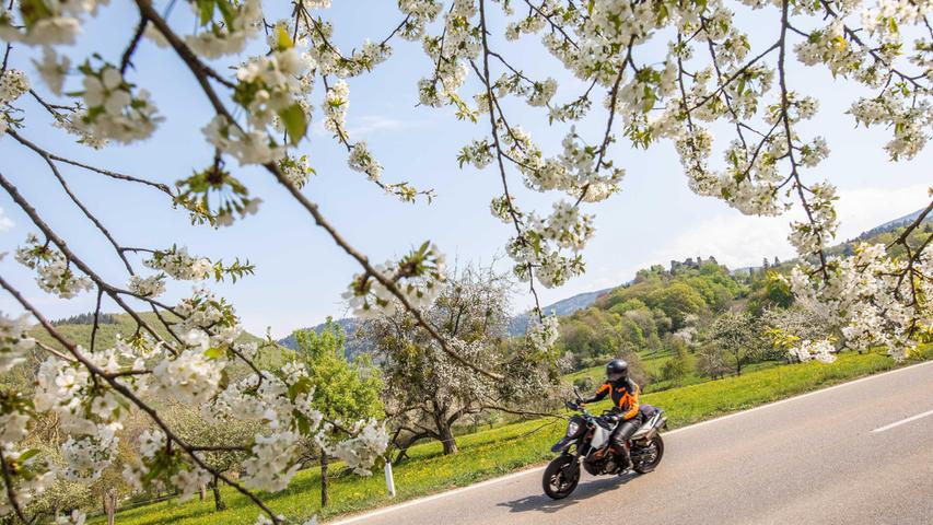 Full throttle and a lot of decibels through the Franconian: what the police and municipalities plan against noisy motorcyclists