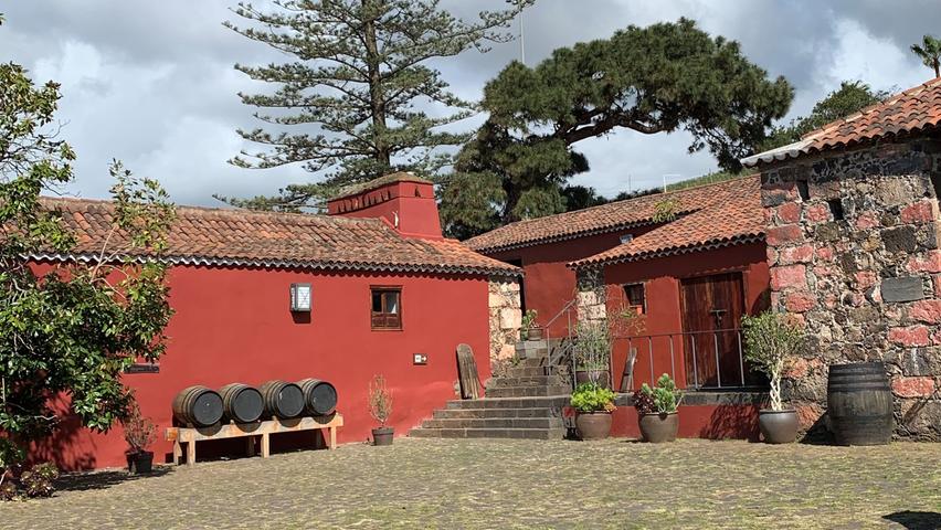 Auf Teneriffa gibt es allein fünf verschiedene Weinbaugebiete: Denn aufgrund der vielen unterschiedlichen Mikroklimen und der drastischen Höhenunterschiede ändern sich die Eigenschaften des Weines radikal von einem Anbauort zum nächsten. Testen lässt sich diese Vielfalt beispielsweise im Weinmuseum Casa del Vino.
