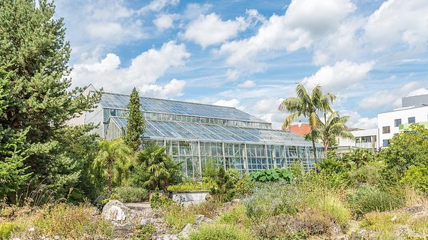 Der Botanische Garten, der an den Schlossgarten angenzt, zeigt Pflanzenarten aus den verschiedensten Klima- und Vegetationszonen: Von den Wüsten bis zum Tropischen Regenwald und von den Berggipfeln bis zum Meer sind unterschiedlichste Lebensräume mit ihren Pflanzen vertreten.