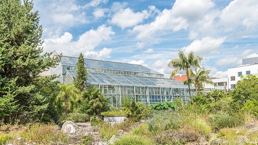 Der Botanische Garten, der an den Schlossgarten angenzt, zeigt Pflanzenarten aus den verschiedensten Klima- und Vegetationszonen: Von den Wüsten bis zum Tropischen Regenwald und von den Berggipfeln bis zum Meer sind unterschiedlichste Lebensräume mit ihren Pflanzen vertreten. 
