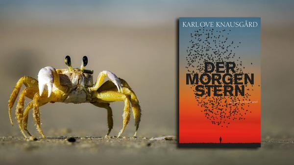 Erst nur er, jetzt ganz viele: Karl-Ove Knausgard, ungekrönter nordischer König der autofiktionalen Nabelschau, legt mit "Der Morgenstern" (Luchterhand, 28 Euro) einen Roman vor, indem es vor Perspektiven nur so wimmelt. Glückliche und Unglückliche, Zweifler und Gläubige, Künstler und Journalisten. Auf sieben Bände angelegt und als Weltuntergangsgeschichte angekündigt – der Stern, den alle sehen, hat es in sich – bleibt dennoch eins stabil: der gute alte Knausgard-Sound beim Schreiben mit viel Kippen und Kaffee ist weiterhin vorhanden. Die Katastrophe hätte schlimmer kommen können... Christian Mückl