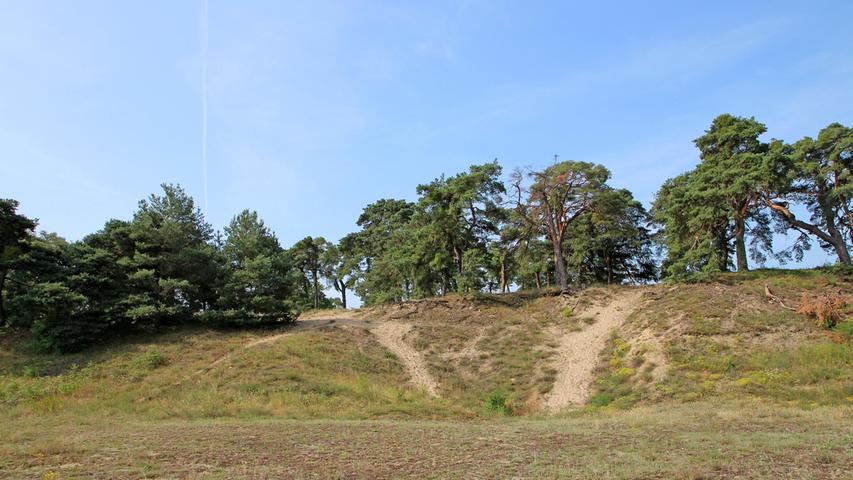All hopes for progress are built only on sand? These dunes give the name of the city of Sandhausen and its football club. All hopes for progress are built only on sand? These dunes give the name of the city of Sandhausen and its football club.