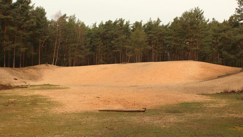 Doesn't that sound a lot more dull than what the Sandhausener offers? These sand dunes adorn the Erlenstegen Forest. Doesn't that sound a lot more dull than what the Sandhausener offers? These sand dunes adorn the Erlenstegen Forest.
