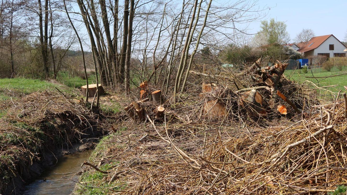 Die Ortsgruppe Seebachgrund des BN ärgert sich über Baumfällungen in Weisendorf.