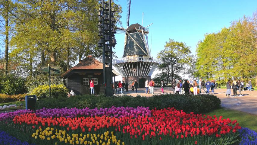 Der Keukenhof ist nicht umsonst eine d e r Touristenattraktionen. Auf 32 Hektar entsteht jedes Jahr ein neu konzipierter Blumenpark, der in jedem Fall einen Besuch Wert ist.