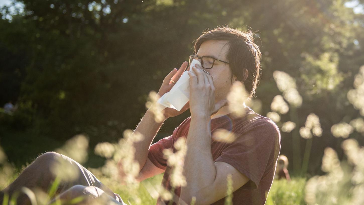 Heuschnupfen ist eine Allergie gegen Pflanzenpollen.