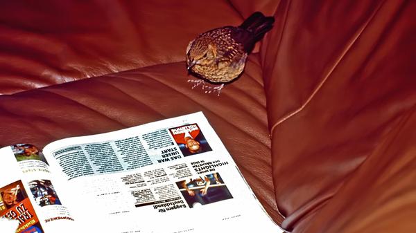 Am Abend haben wir gelesen oder ferngesehen, Laban war sehr interessiert und voll dabei.