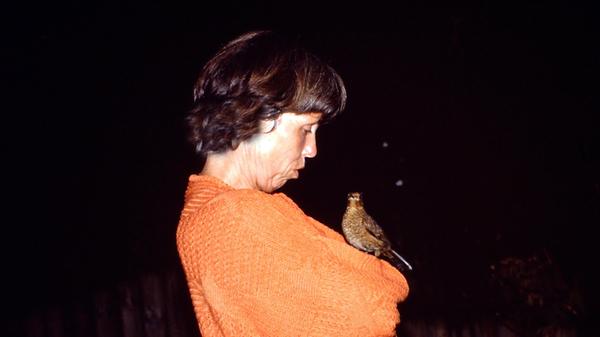 An einem lauen Sommerabend setze sie sich im Garten auf Omas Arm und nahm sichtlich Abschied von uns. Dann hopste sie auf die Markise, drehte eine "Ehrenrunde" und verschwand in der Dunkelheit.