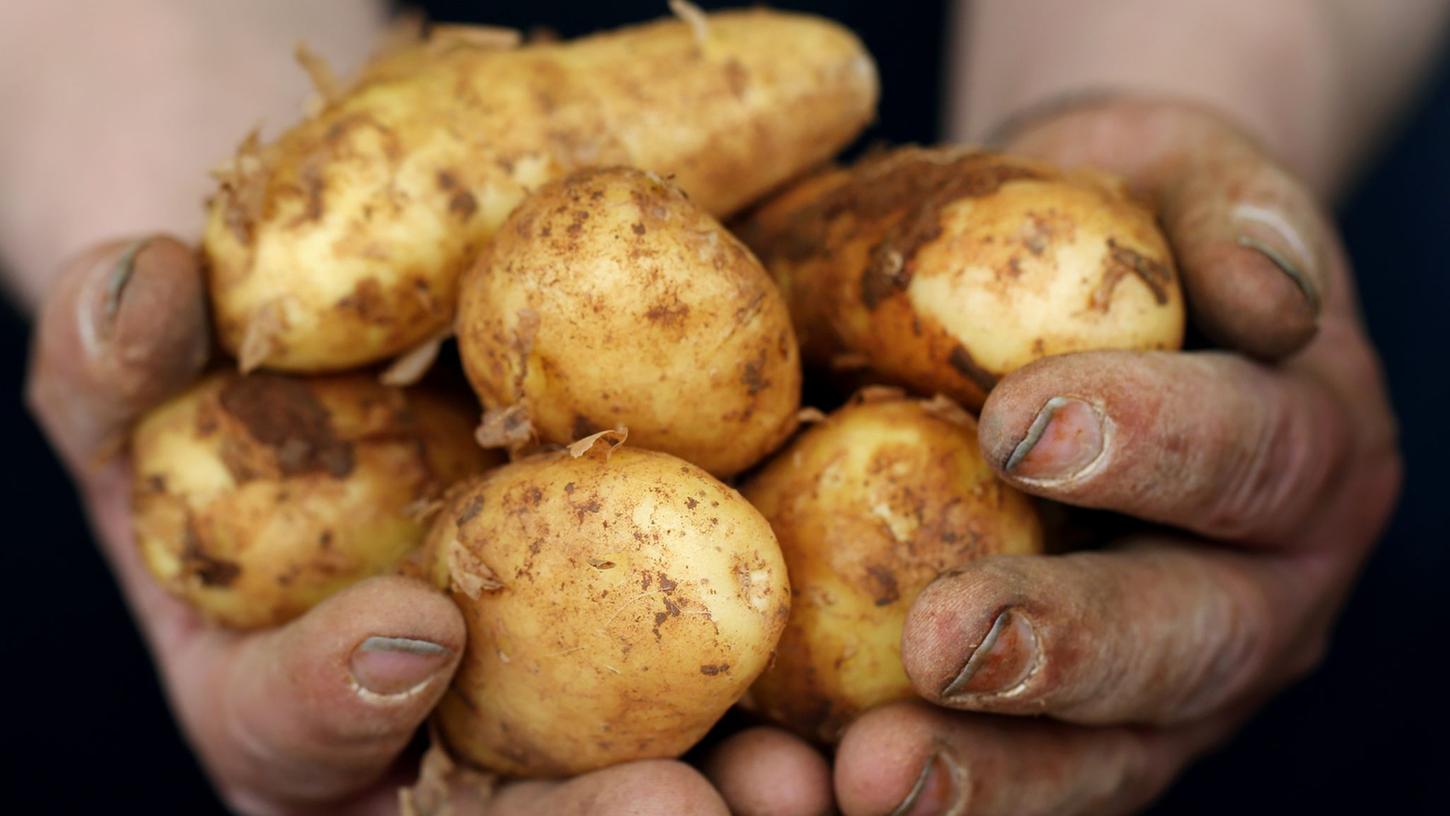 Grüne Stellen entfernen: Frühkartoffeln richtig zubereiten