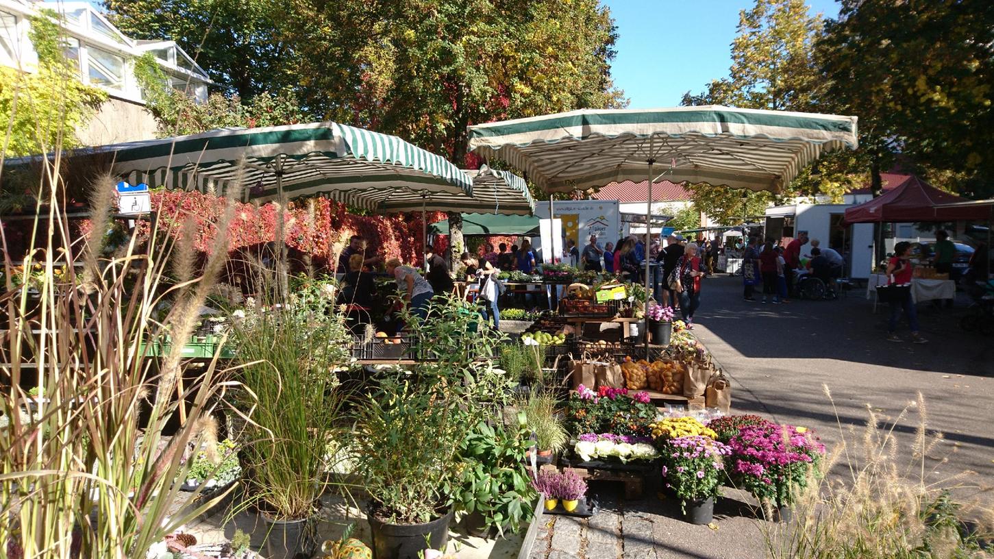 Noch in diesem Jahr soll der Wochenmarkt etwas weiter in Richtung der Stadtmitte umziehen. Noch in diesem Jahr soll der Wochenmarkt etwas weiter in Richtung der Stadtmitte umziehen.