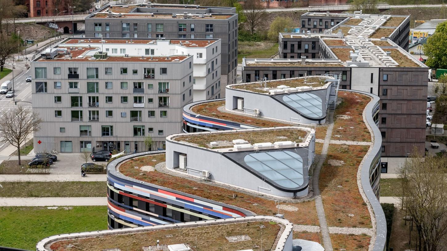 Gründächer in Hamburg: Auf ihnen gedeiht biologische Artenvielfalt und sie helfen, Stadterwärmung durch Klimawandel zu dämpfen. Gründächer in Hamburg: Auf ihnen gedeiht biologische Artenvielfalt und sie helfen, Stadterwärmung durch Klimawandel zu dämpfen.