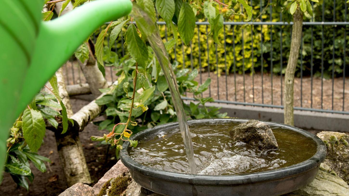Eine flache Schale mit Wasser füllen und ein paar Steinchen oder Murmeln als Landeplatz hineinlegen - und fertig ist die Insekten- und Vogeltränke. Eine flache Schale mit Wasser füllen und ein paar Steinchen oder Murmeln als Landeplatz hineinlegen - und fertig ist die Insekten- und Vogeltränke.