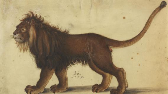 Alte Hasen und junge Hüpfer: Wie gut war der Dürer-Kopist?