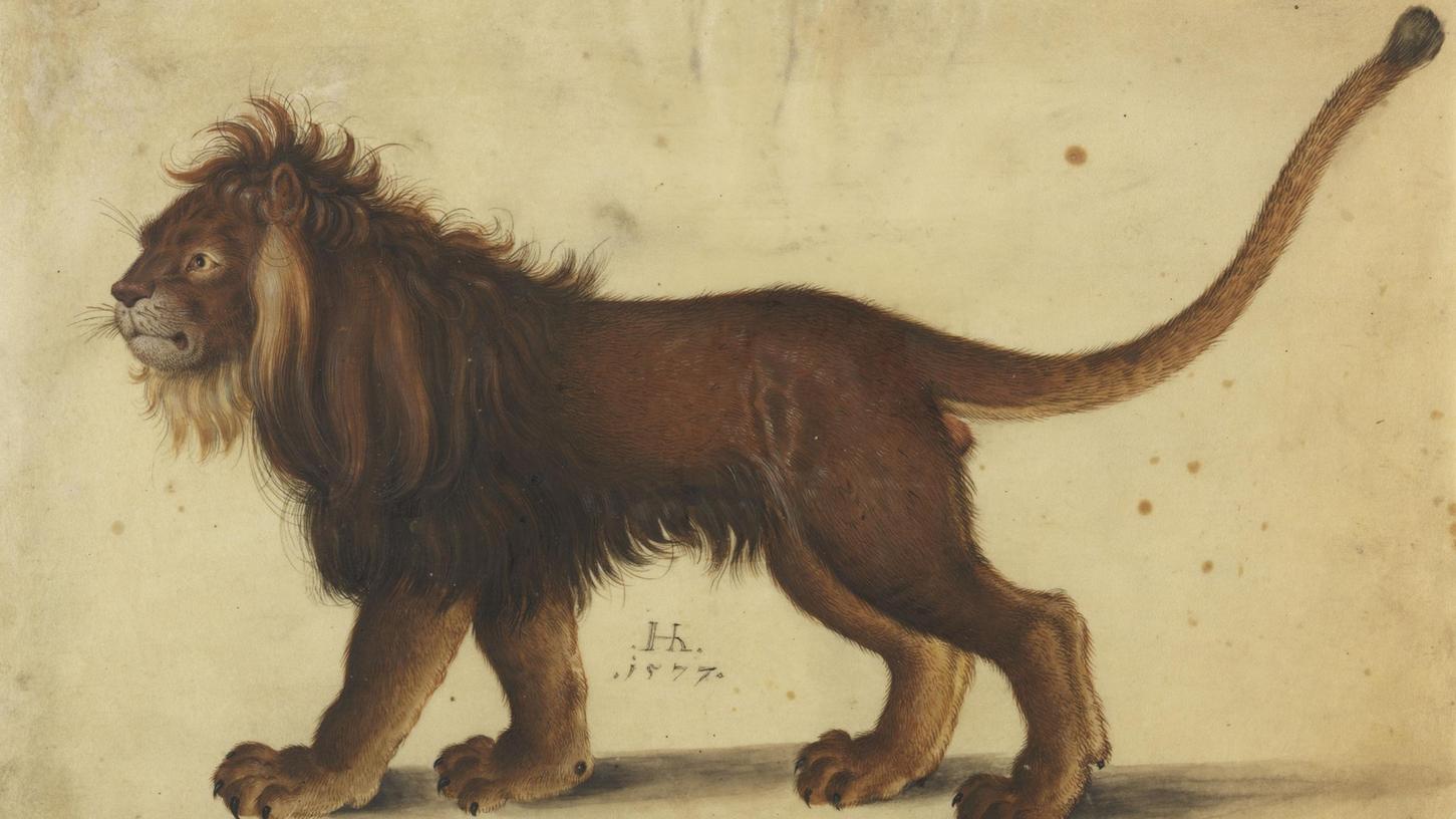 Dürers "Löwe", von Hans Hoffmann im Jahr 1577 meisterhaft kopiert.
Dürers "Löwe", von Hans Hoffmann im Jahr 1577 meisterhaft kopiert.