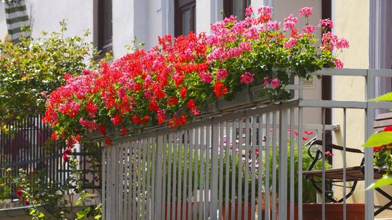 Garten auf dem Balkon: Mit diesen Tipps schaffen Sie eine grüne Oase