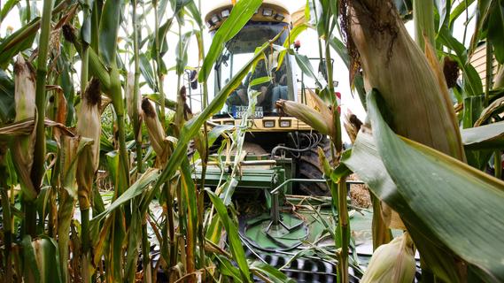 Bauernkrieg in Neustadt/Aisch: Brüder sollen Maschinen sabotiert haben