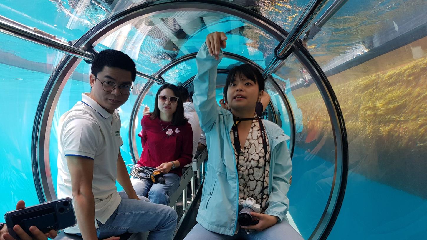 Per U-Boot Vietnams Unterwasserwelt entdecken