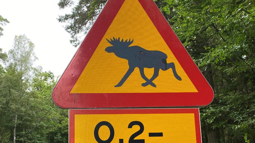 Dass es Elche auch außerhalb der Parks in freier Wildbahn gibt, davon zeugen diese Schilder am Straßenrand.
