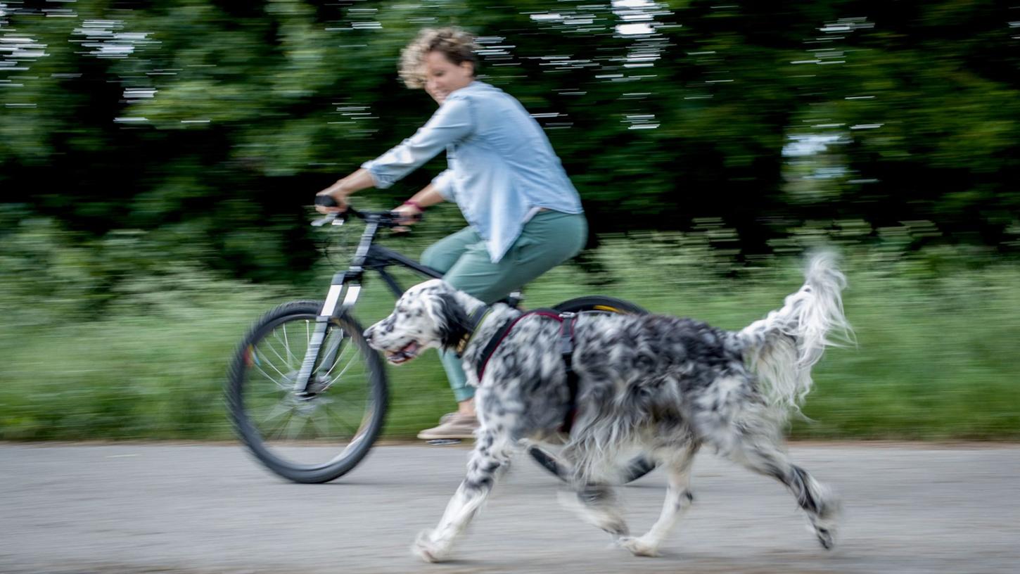 Das gemeinsame Fahren mit Rad und Hund sollte zunächst in einer verkehrsberuhigten Zone oder auf einem Parkplatz geübt werden.