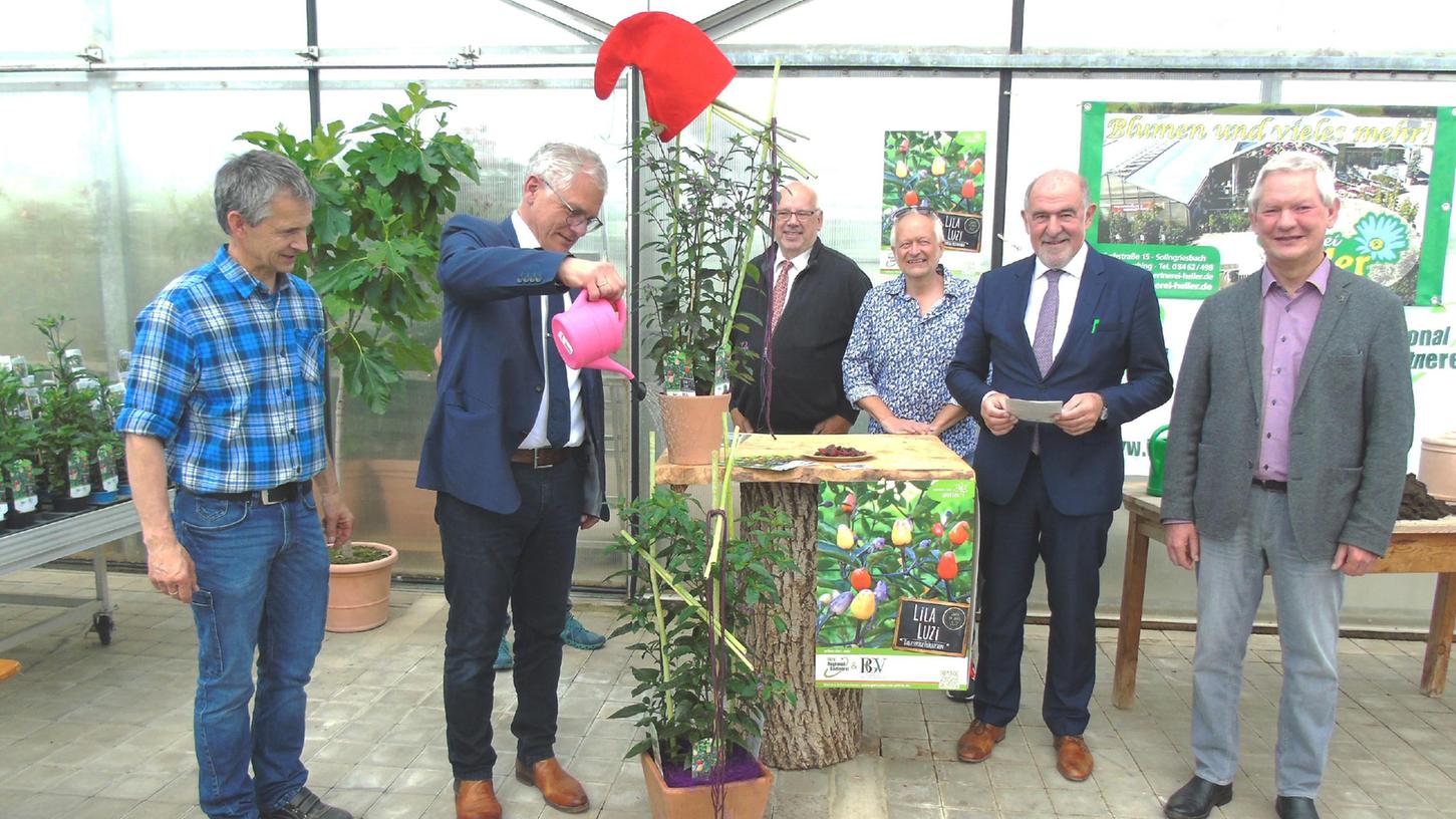 Gemüse des Jahres 2022: Die neue Chilisorte Lila Luzi wurde getauft in der Gärtnerei Heiler in Sollngriesbach.
Gemüse des Jahres 2022: Die neue Chilisorte Lila Luzi wurde getauft in der Gärtnerei Heiler in Sollngriesbach.
