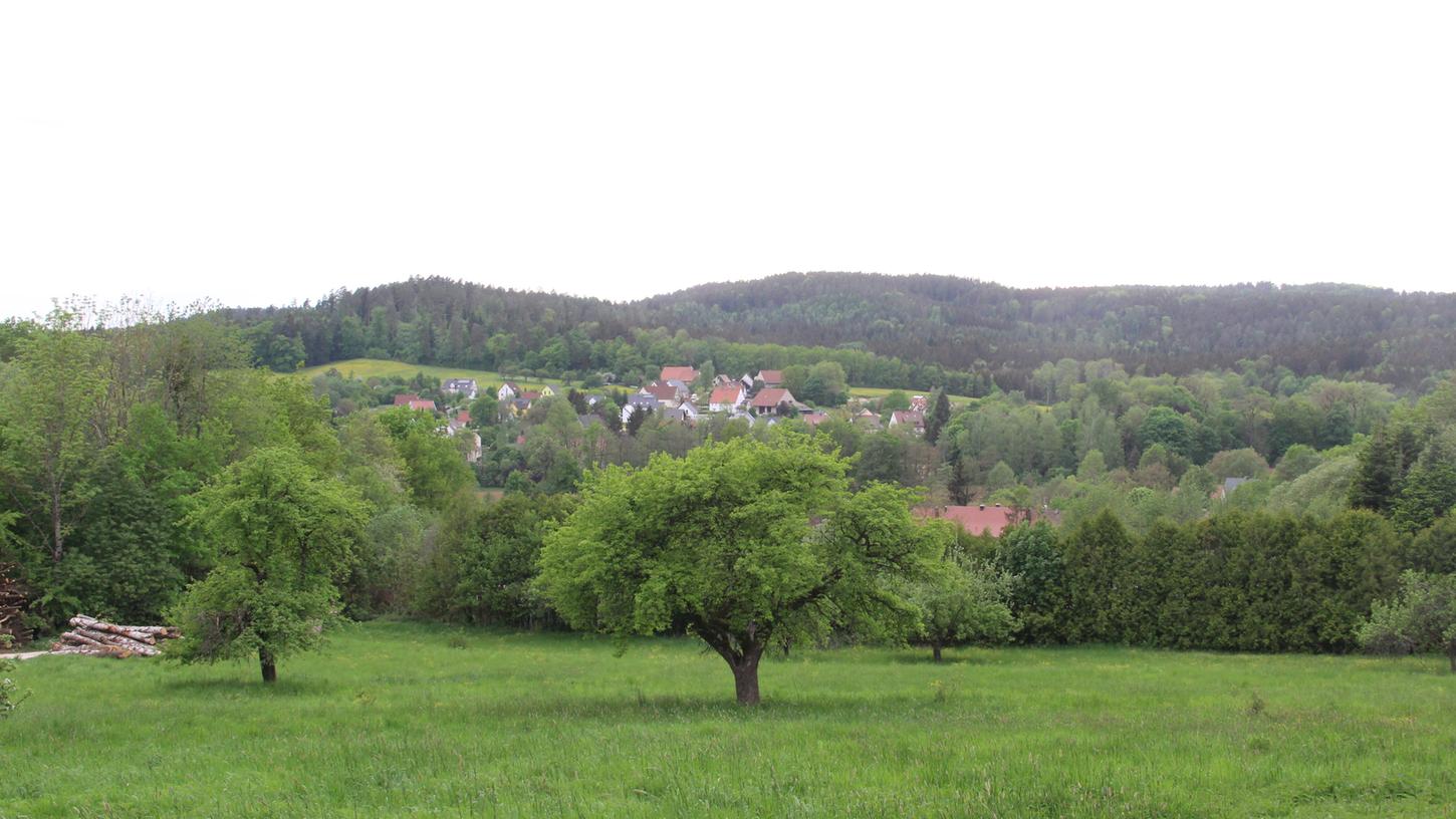 Hier soll der neue Kindergarten in Simmelsdorf entstehen, das hat der Gemeinderat bei der vergangenen Sitzung beschlossen. Das Grundstück liegt am Fuß des Hienbergs und im Hintergrund zu sehen sind Simmelsdorf sowie der Tucherwald. Hier soll der neue Kindergarten in Simmelsdorf entstehen, das hat der Gemeinderat bei der vergangenen Sitzung beschlossen. Das Grundstück liegt am Fuß des Hienbergs und im Hintergrund zu sehen sind Simmelsdorf sowie der Tucherwald.