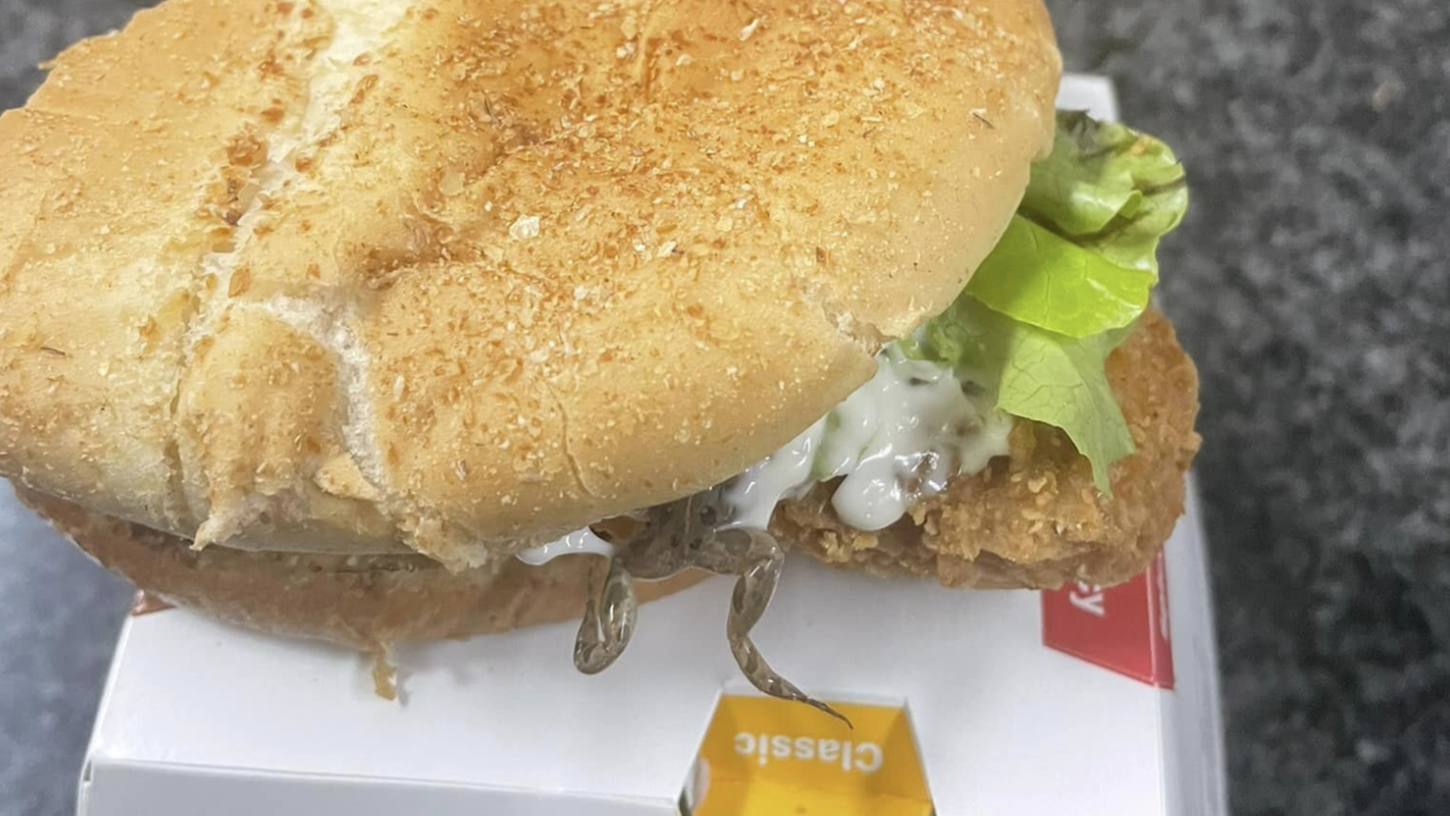 Toter Frosch in Burger: Ekeliges Fast-Food-Fundstück geht viral