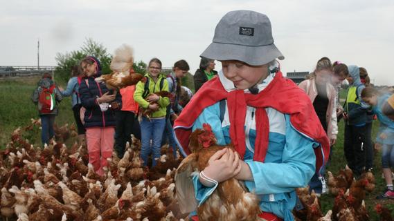 "Boah, ist das Huhn weich": Wie Erlebnisbäuerin Heidi Eichenmüller in Eltersdorf Schule macht
