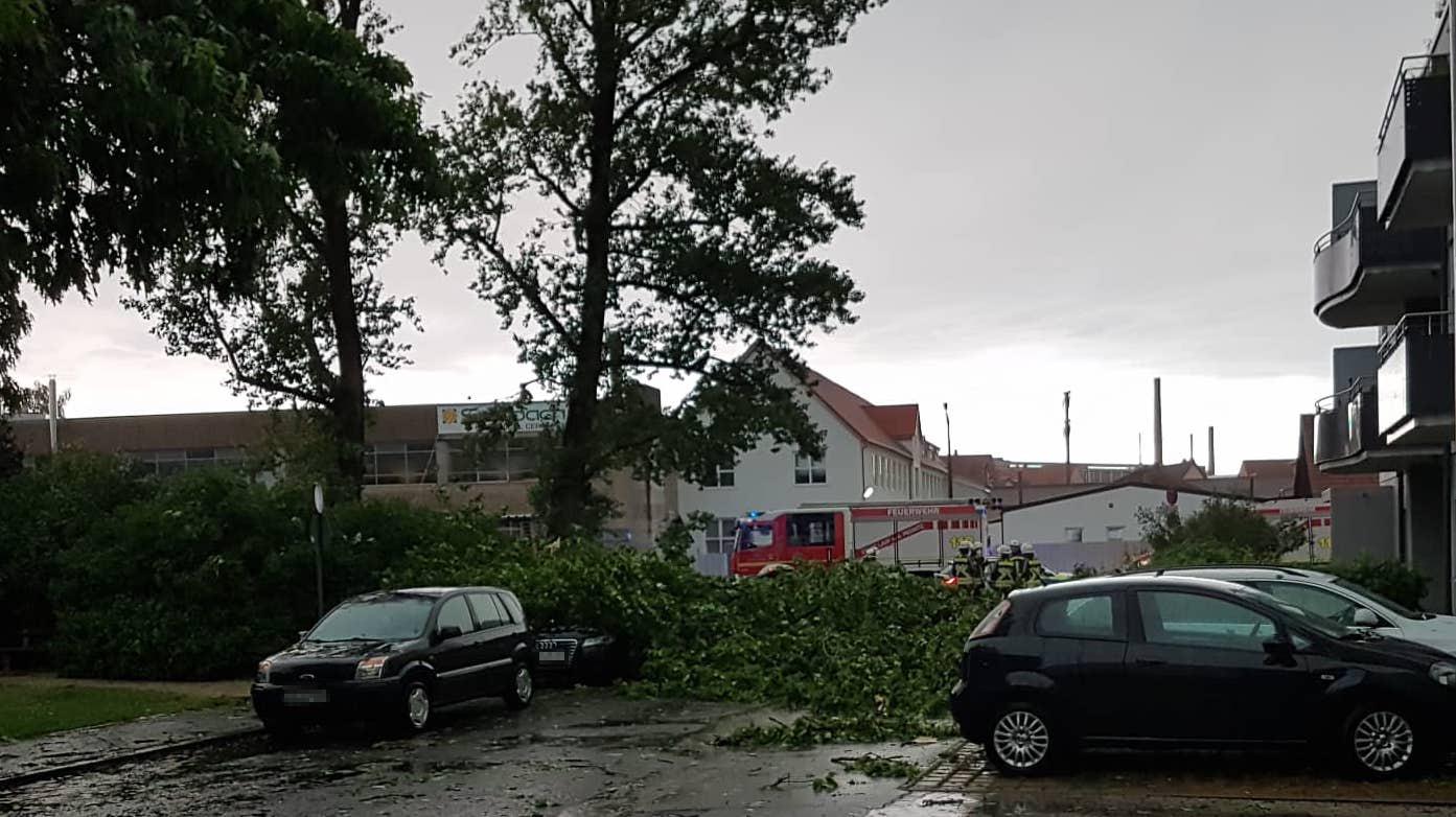In Lauf/links stürzte ein großer Baum auf ein Auto.