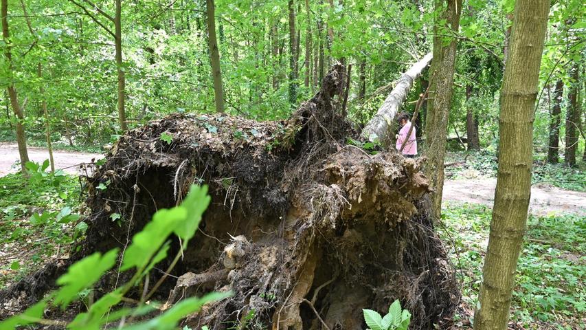 Unwetter peitscht über Erlangen hinweg: Sturzbäche und abgebrochene Bäume