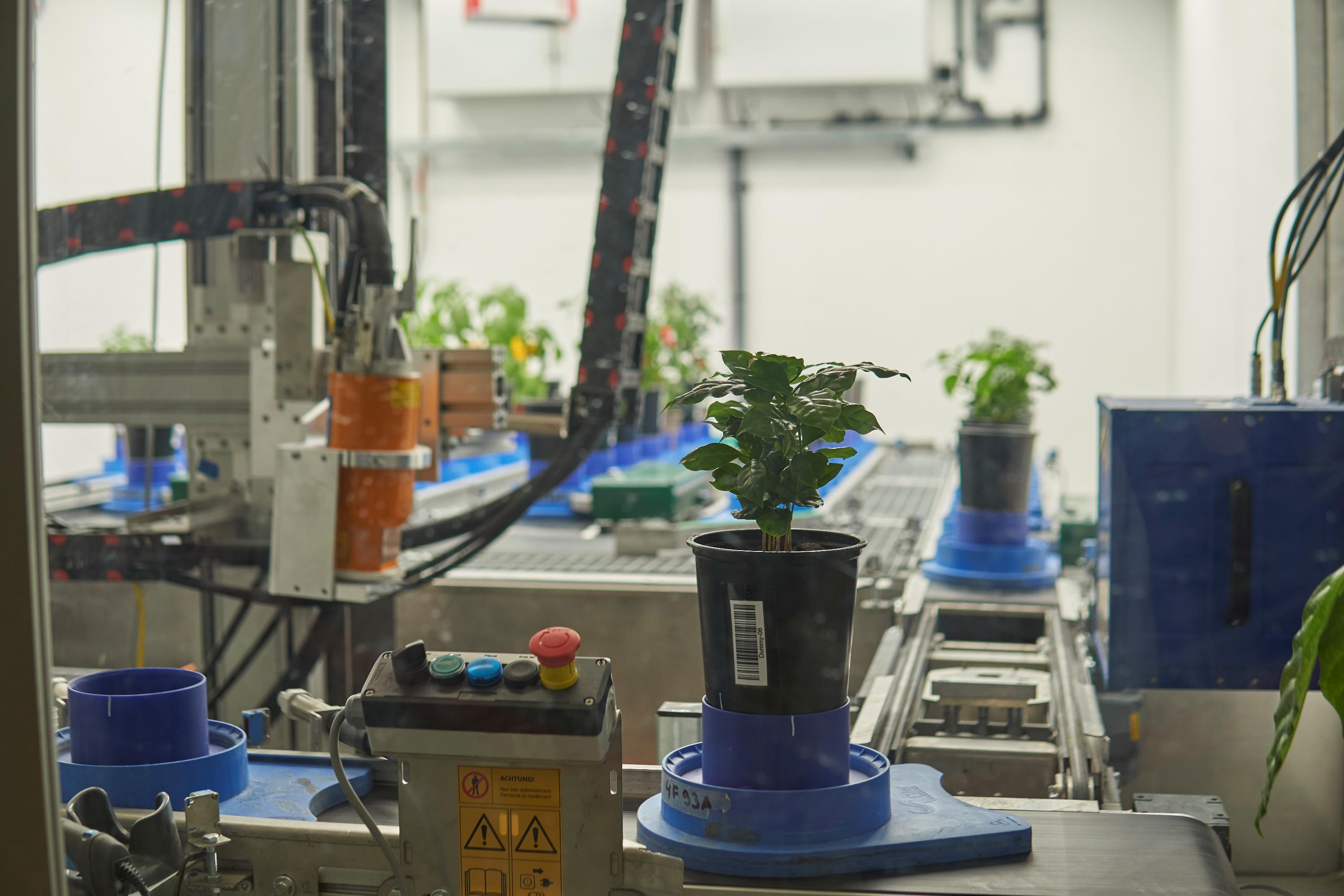 Um zu erforschen, welche Sorten mit verändertem Klima am Besten zurecht kommen, gibt es im Fraunhofer-Institut eine Klimakammer mit integrierter Röntgenanlage. Hier können Pflanzen auf einem Förderband wachsen und automatisiert unterirdisch vermessen werden, um die Reaktionen der Pflanzen objektiv bewerten zu können.