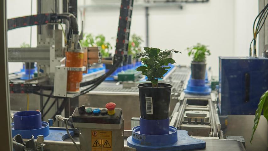 Um zu erforschen, welche Sorten mit verändertem Klima am Besten zurecht kommen, gibt es im Fraunhofer-Institut eine Klimakammer mit integrierter Röntgenanlage. Hier können Pflanzen auf einem Förderband wachsen und automatisiert unterirdisch vermessen werden, um die Reaktionen der Pflanzen objektiv bewerten zu können.