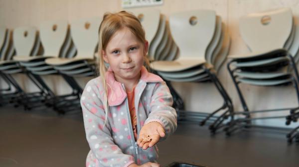"Die Welt im Kleinen" in der Fachakademie für Sozialpädagogik: Kurz durfte der Regenwurm auf Fionas Hand, bevor es für ihn zurück in die Kompostbox ging. Kitzelt das? "Ja, sagte die Sechsjährige und lachte.