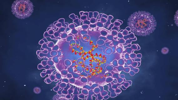 Affenpocken-Virus auf dem Vormarsch: Erstes europäisches Land führt 21-Tage-Quarantäne ein
