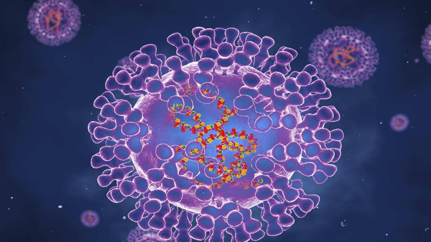 Auch in Deutschland haben sich bislang drei Personen mit dem Affenpocken-Virus angesteckt. Auch in Deutschland haben sich bislang drei Personen mit dem Affenpocken-Virus angesteckt.