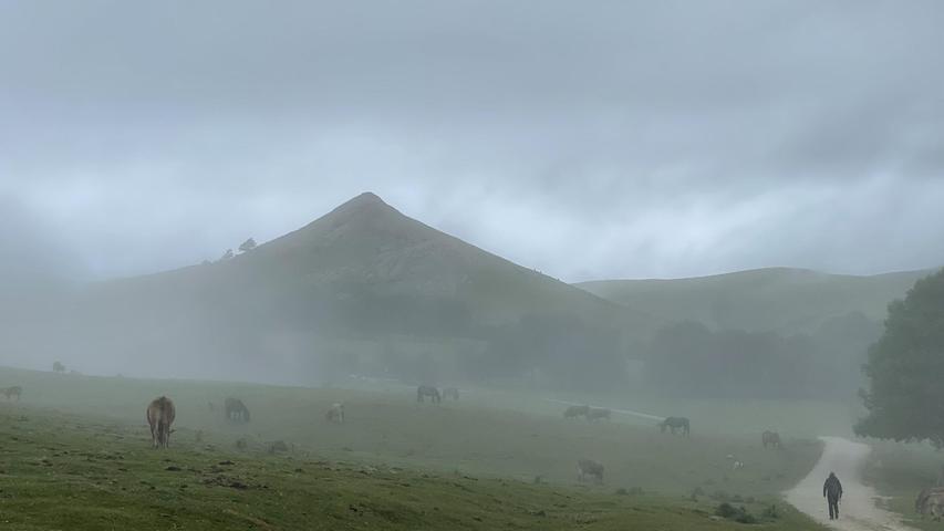 Der Xirimiri, ein feiner Nebelregen, hüllt die halbwilden Kühe und Pferde im Nationalpark Aizkorri-Aratz in einen dünnen Schleier. Hier weiden auch die heimischen Latxa-Schafe und sorgen für die Milch, aus dem der leckere "Idiazabal"-Käse hergestellt wird, eine heimische Spezialität.